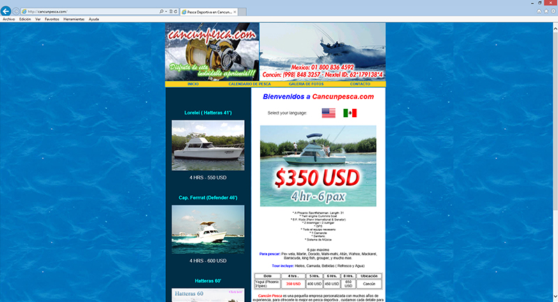 paginas web cancun / posicionamiento en internet